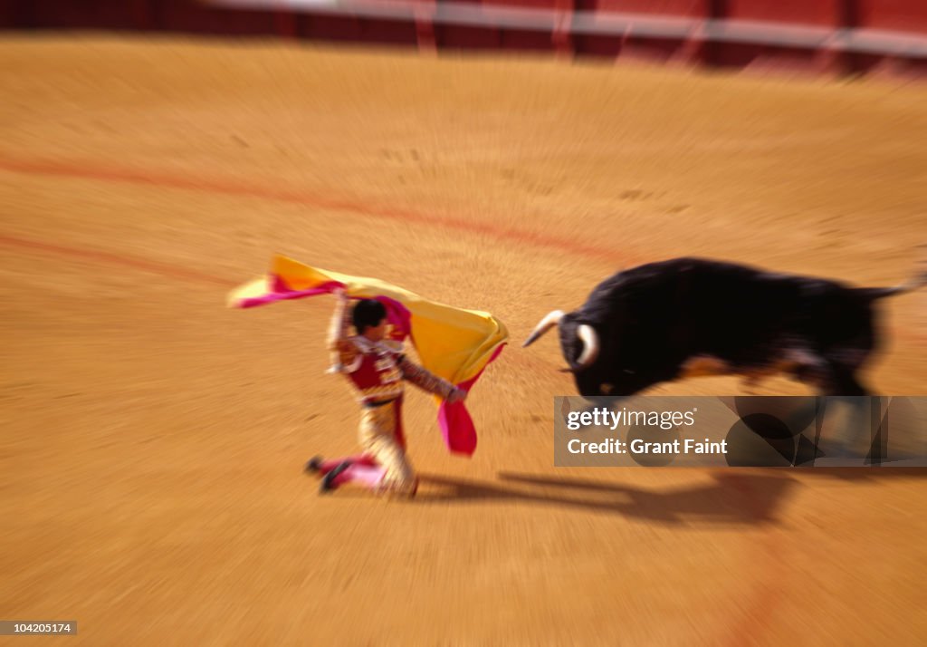 Bullfighting in ring