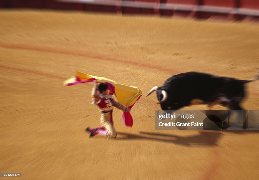 Bullfighting in ring