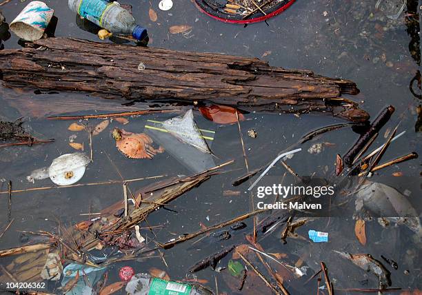 la haya - estrecho descripción física fotografías e imágenes de stock