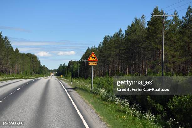 reindeer crossing sign at road near vaasa, finland - animal crossing sign stockfoto's en -beelden