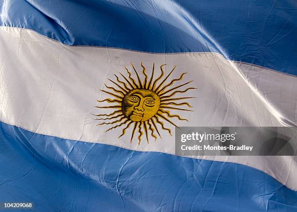 flagge von argentinien - argentinische flagge stock-fotos und bilder