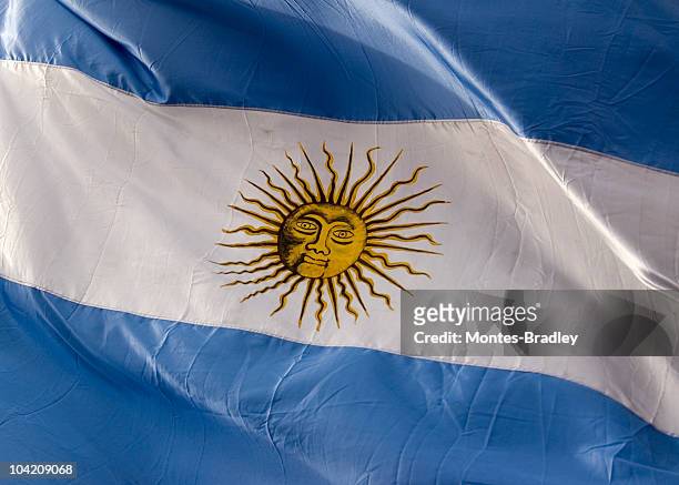 bandera de argentina - bandera argentina fotografías e imágenes de stock