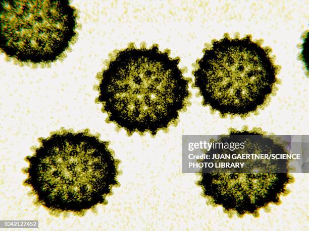 ilustraciones, imágenes clip art, dibujos animados e iconos de stock de hepatitis c virus particles, illustration - hepatitis