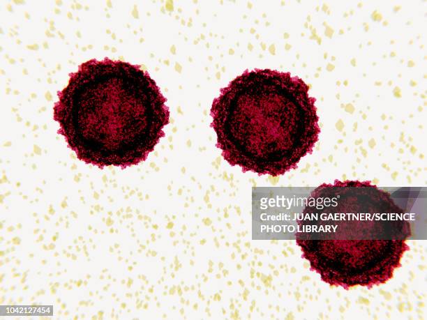 polio virus particles, illustration - viral infection stock illustrations