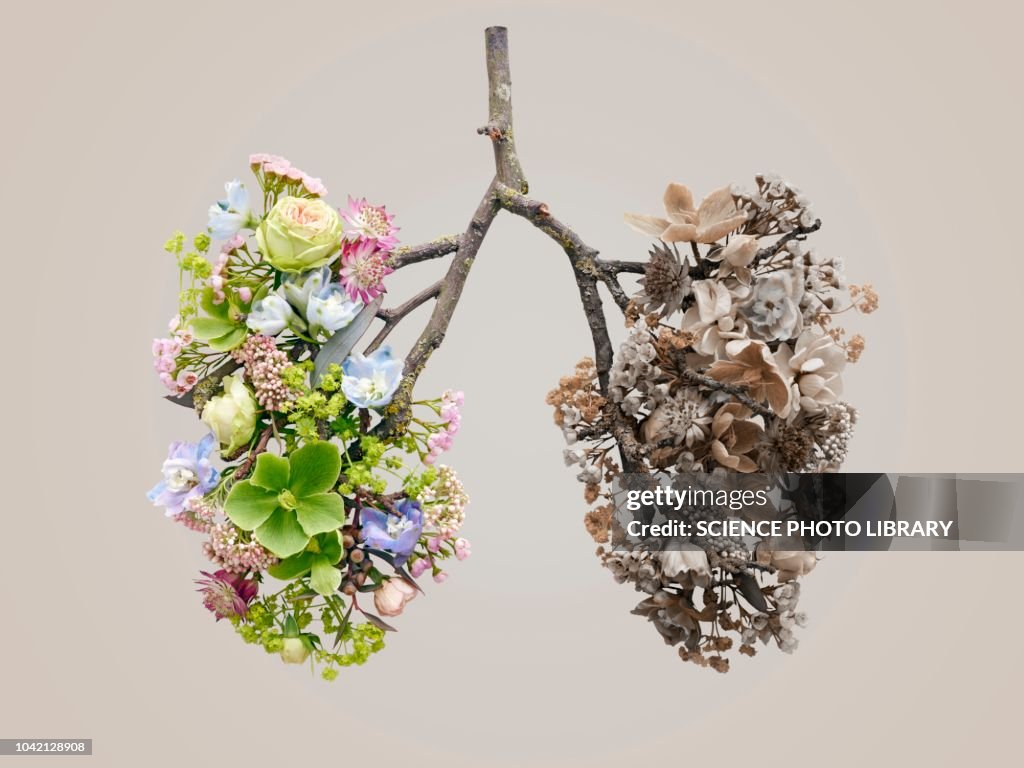 Spring flowers representing human lungs