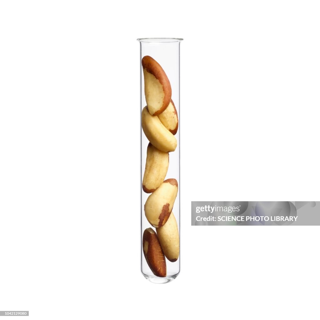 Brazil nuts in test tube