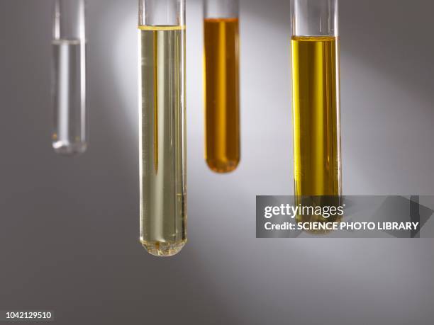 cooking oils in test tubes - test tube stock pictures, royalty-free photos & images