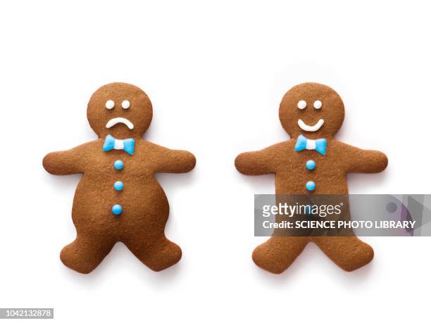 two gingerbread men - ジンジャーブレッドマン ストックフォトと画像