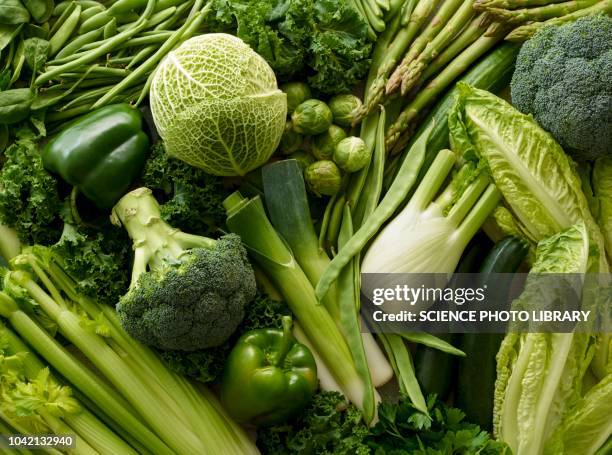 variety of fresh green vegetables - legume vert photos et images de collection