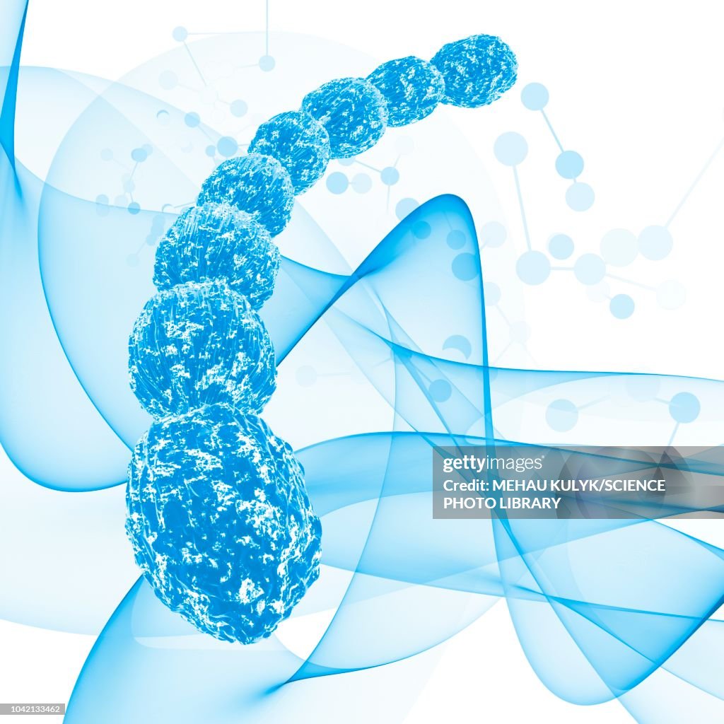 Blue archaea, illustration