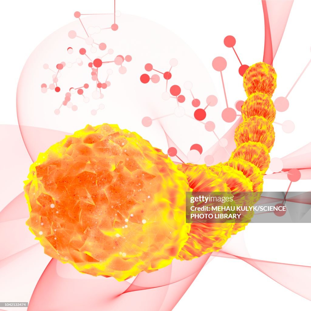 Orange archaea, illustration