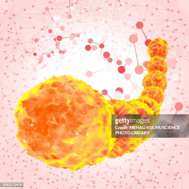 ilustrações de stock, clip art, desenhos animados e ícones de orange archaea, illustration - archae bacteria