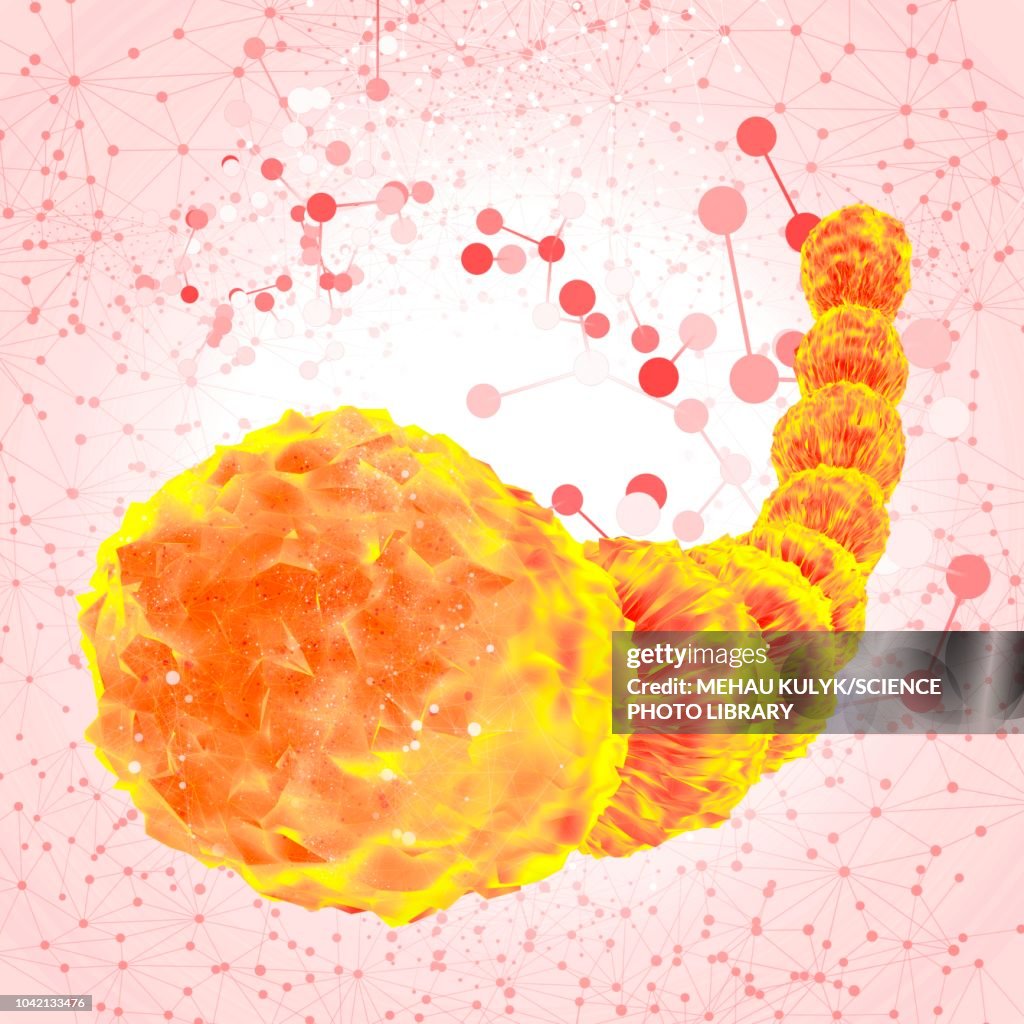 Orange archaea, illustration