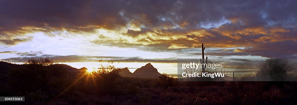 Desert landscape