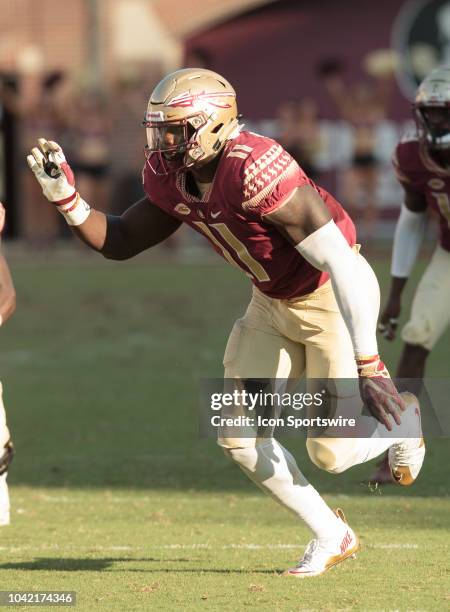 Florida State Seminoles defensive end Janarius Robinson rushing the quarterback during the game between the Florida State Seminoles and the Northern...