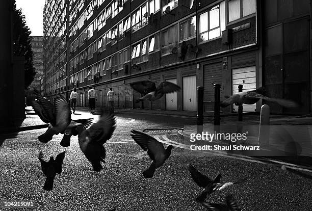 Elephant And Castle Photos and Premium High Res Pictures - Getty Images