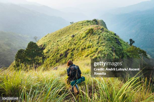 young woman hikes through hilly jungle terrain - ella sri lanka stockfoto's en -beelden