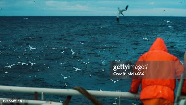 fisherman on the fishing boat deck - fishing boat ocean stock pictures, royalty-free photos & images