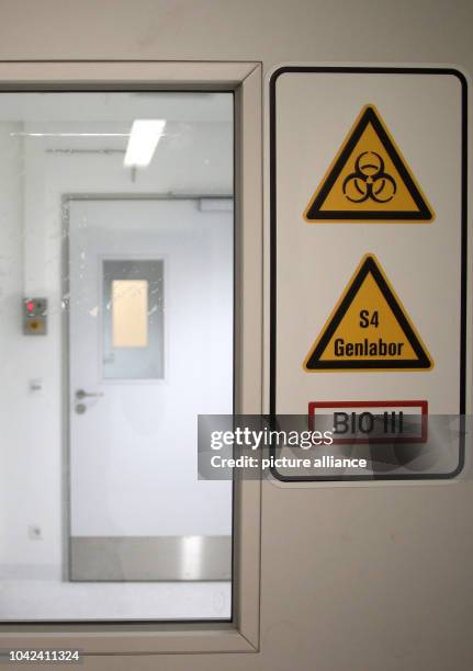 Laboratory Security Level 46 Biosafety Level 4 Laboratory Stock Photos, High-Res Pictures, and ...