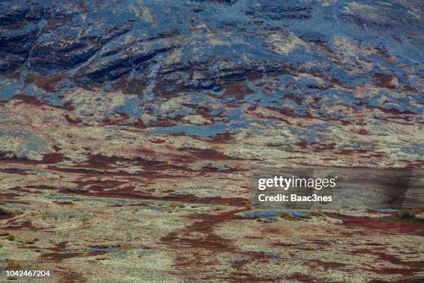 abstract nature - colourful mountain meadow, norway - norway national day 2018 fotografías e imágenes de stock