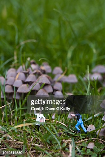 Two miniature figurines working in a field of fungi.