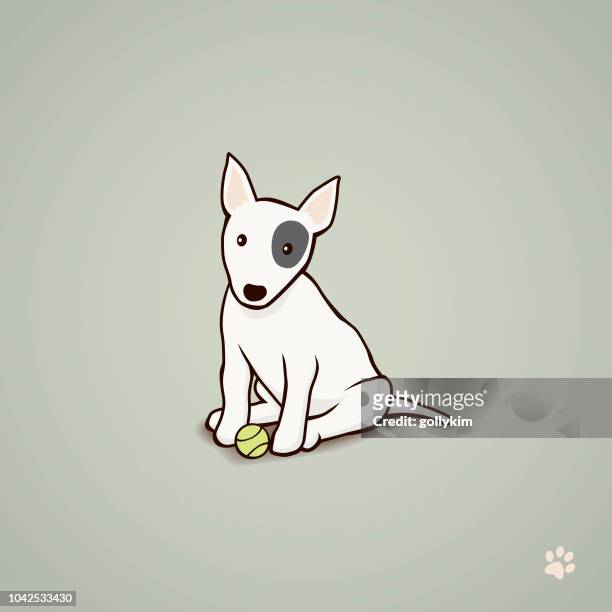 bull terrier puppy with tennis ball - bull terrier stock illustrations