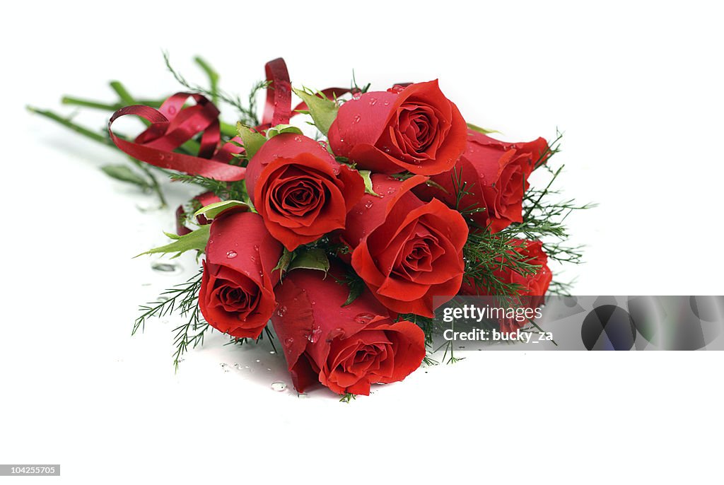 Red rose posy with water droplets, isolated on white