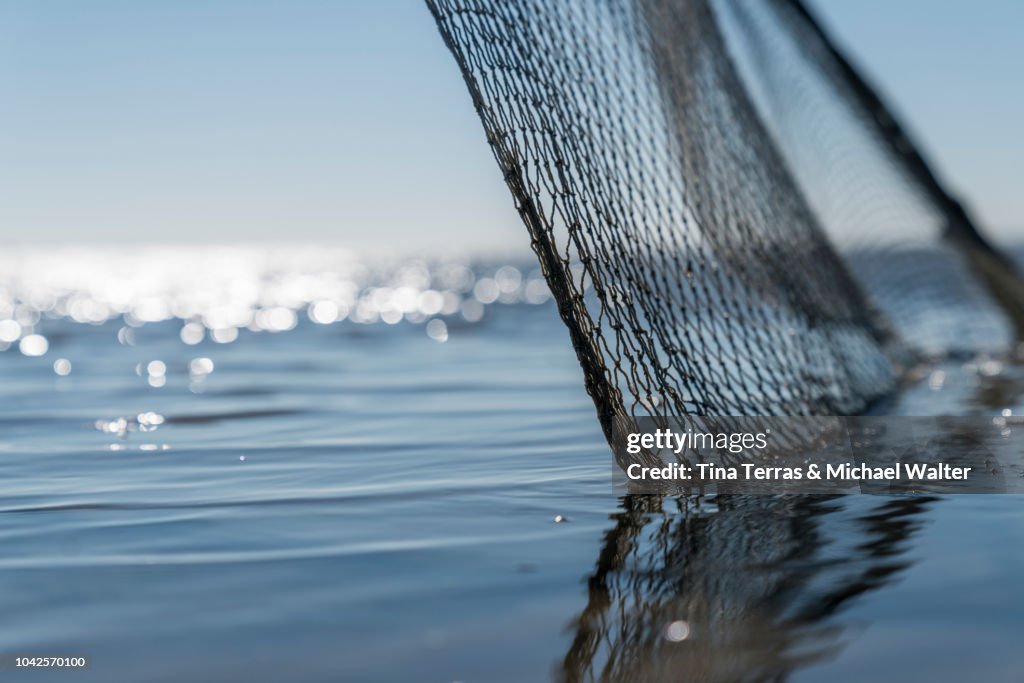 Fishing net in the water.