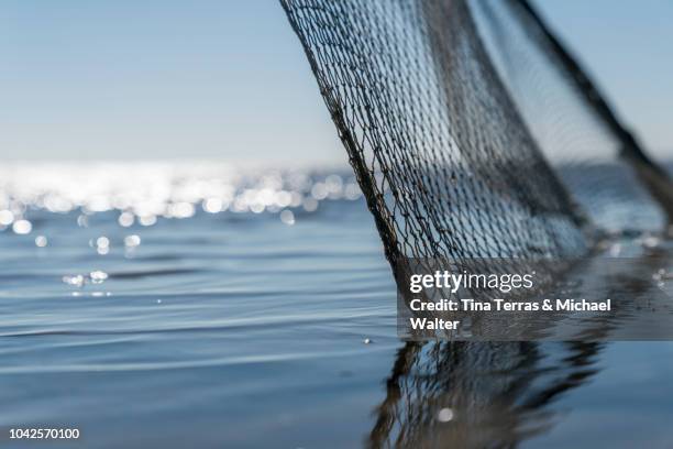 fishing net in the water. - red de pesca comercial fotografías e imágenes de stock