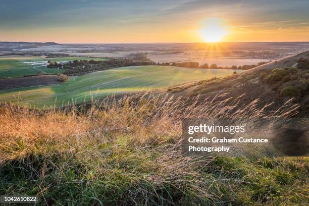 dunstable downs sunset - bedfordshire stock pictures, royalty-free photos & images