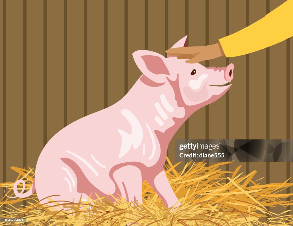 Cartoon Pig In His Straw Bed On A Farm