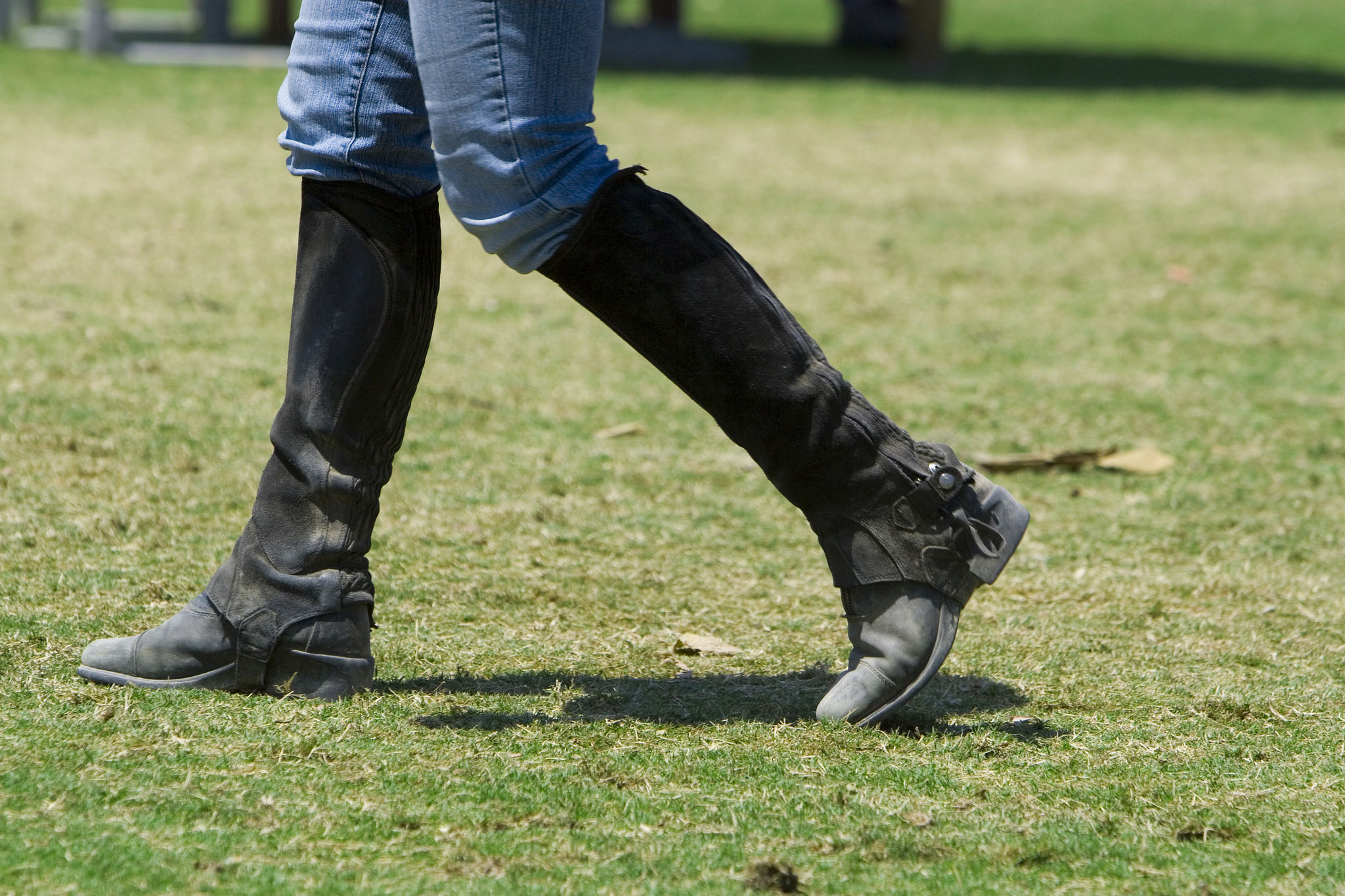 therapeutic hoof boots