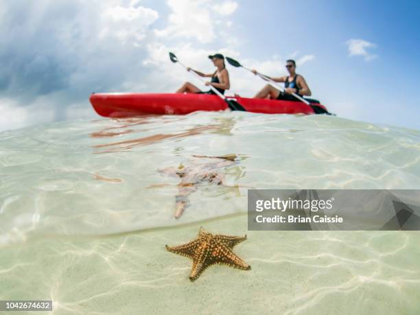 couple kayaking on ocean at starfish beach, grand cayman, cayman islands - grand cayman islands foto e immagini stock