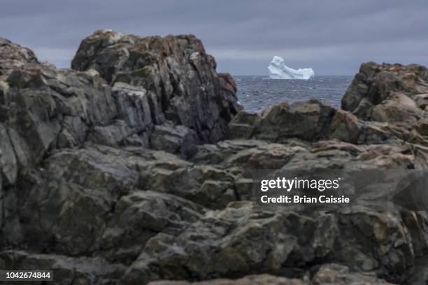 view of iceberg in sea through rocks on shore, fogo island, newfoundland, canada - fogo photos et images de collection