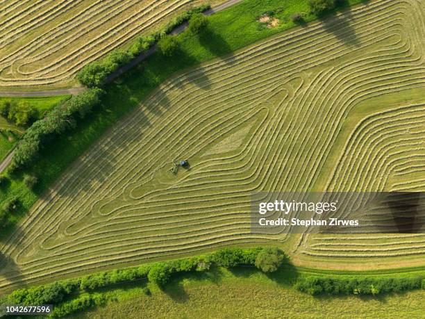 aerial view tractor in patterned green agricultural crop, hohenheim, baden-wuerttemberg, germany - baden baden aerial fotografías e imágenes de stock
