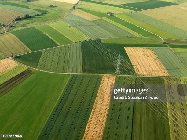 aerial view vibrant green agricultural crops, donaueschingen, baden-wuerttemberg, germany - baden baden aerial fotografías e imágenes de stock