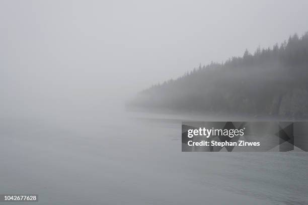 tranquil fog over ocean, knik valley, anchorage, alaska, usa - cook inlet stock pictures, royalty-free photos & images
