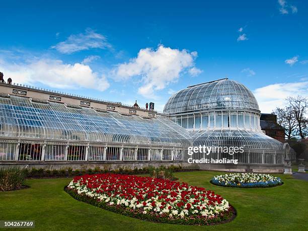 botanic palm house, belfast, nordirland - belfast stock-fotos und bilder