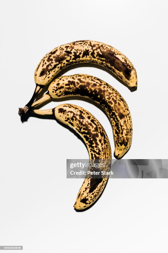 Rotting, ripe bananas against white background