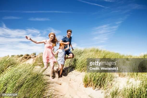 netherlands, zandvoort, happy family with daughter running in beach dunes - couple running on beach stock pictures, royalty-free photos & images