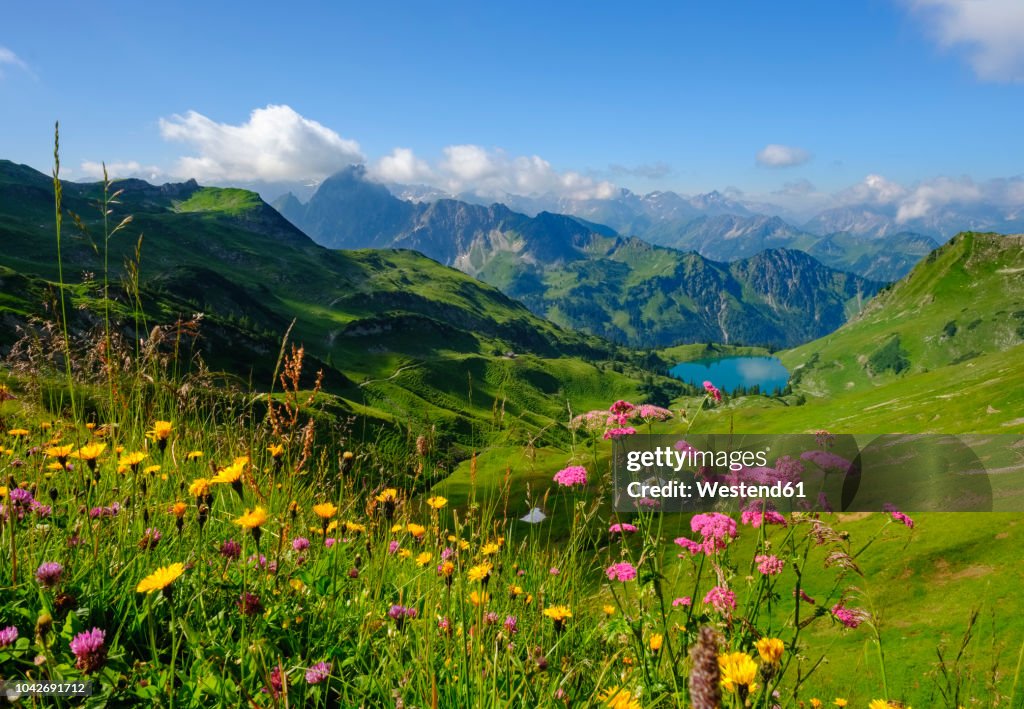 Germany, Bavaria, Allgaeu Alps, View from Zeigersattel to Seealpsee with Hoefats