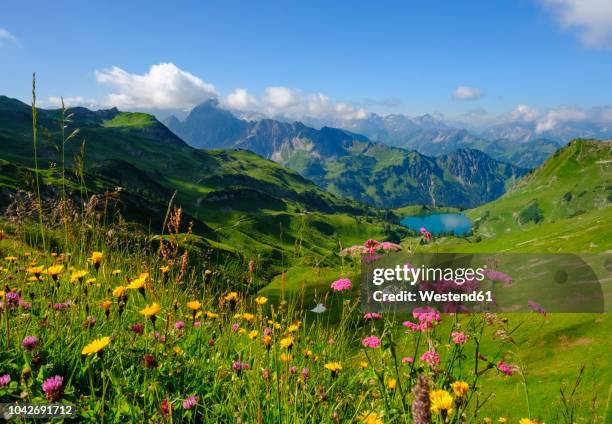 germany, bavaria, allgaeu alps, view from zeigersattel to seealpsee with hoefats - nebelhorn bildbanksfoton och bilder