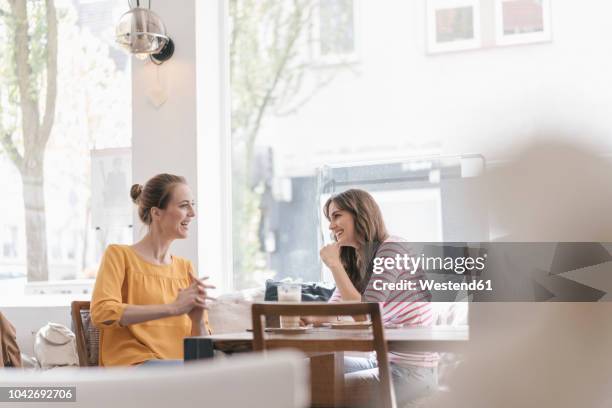 two girlfriends meeting in a coffee shop, talking - frau cafe stock-fotos und bilder