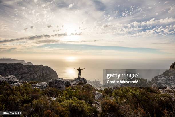 south africa, cape town, table mountain, man standing on a rock at sunset - rock terrain stockfoto's en -beelden