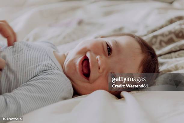 happy baby, lying on bed, laughing - baby equipment stock-fotos und bilder