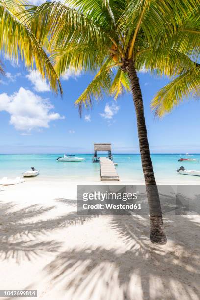 mauritius, pamplemousses district, trau-aux-biches, view from palm beach to roofed landing stage - boardwalk stockfoto's en -beelden