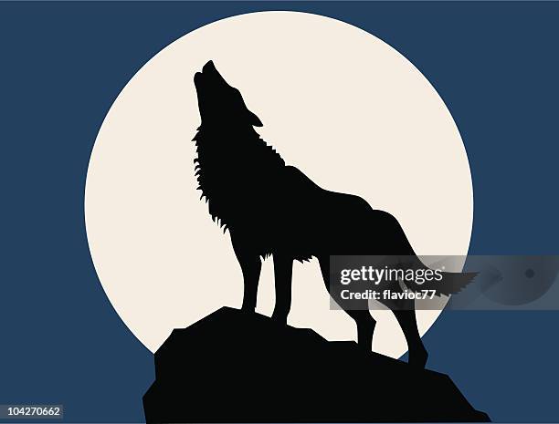 illustrazioni stock, clip art, cartoni animati e icone di tendenza di lupo che ulula alla luna piena - wolf