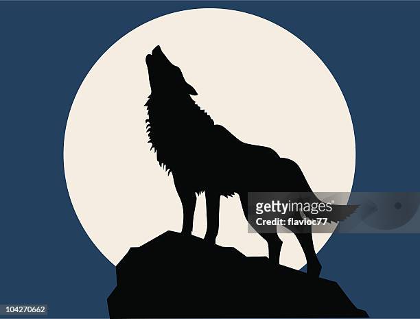 wolf howling at the full moon - howling stock illustrations