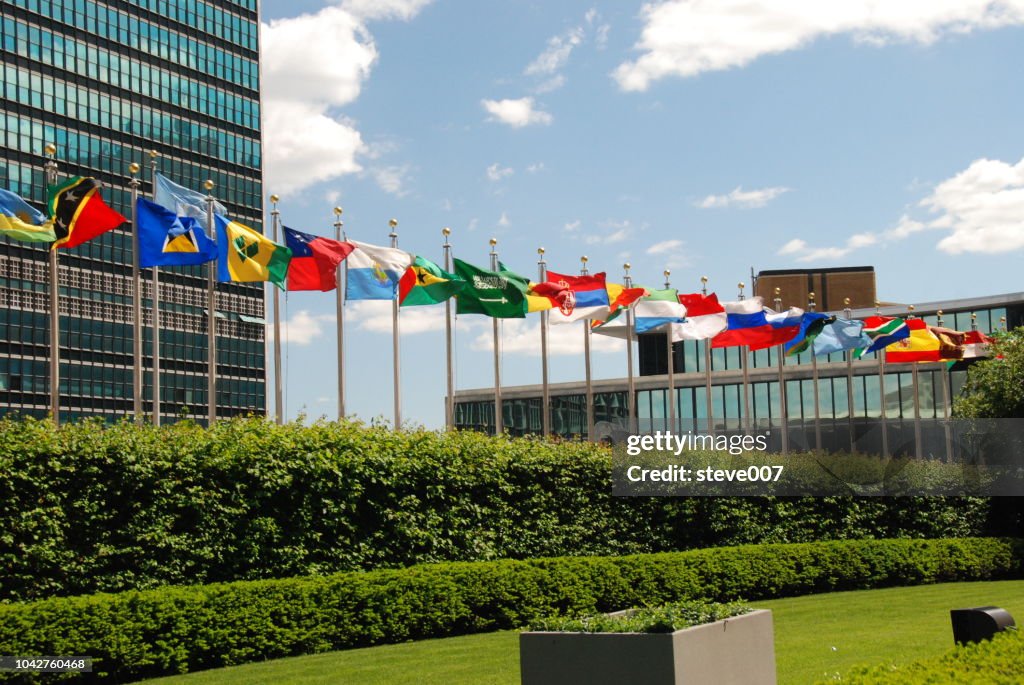 Picture Of United Nations Flags.  Photo taken Friday May 23, 2008.