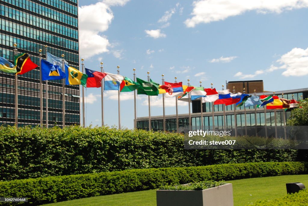 Picture Of United Nations Flags. Photo taken Friday May 23, 2008.